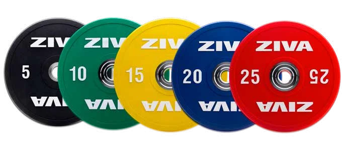 צלחות משקל בציפוי גומי ZVO ZIVA ZVO