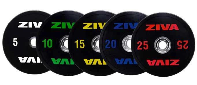 צלחות משקל מאוריתן SL ZIVA SL