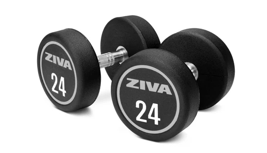 משקולות יד מאוריתן XP · מדרגות 2 ק״ג ZIVA XP
