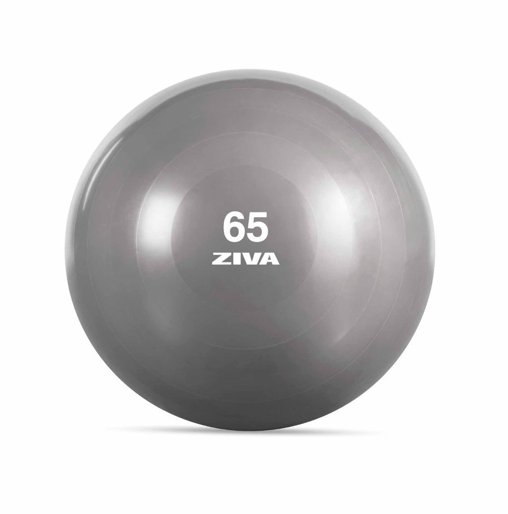 כדור פיזיו 65 ס״מ ZIVA Lumina